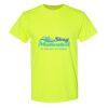 Heavy Cotton™ T-Shirt Thumbnail