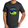 Tri Blend Tee Thumbnail