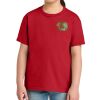 Youth Softstyle ® Midweight Tee Thumbnail